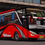 jetbus-hdd-upd-20181003-1-31_1.jpg