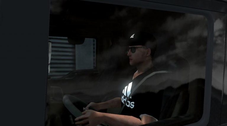 ADIDAS DRIVER SKIN 1.35.X ETS2