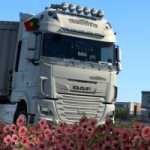 daf-xf-euro-6-transwhite-skin-v1.0-ets2-1-277×200-0.jpg