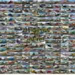 ai-traffic-pack-by-jazzycat-v15.1-ets2-2-277×200-49.jpg