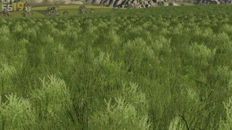 Grass Texture v 1.0 – FS19 mods / Farming Simulator 19 mods