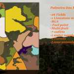 Palmeira-Das-Missoes-Map-2-21.jpg