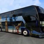 bigbus-traffic-pack-by-solaris36-1.41-ets2-2-277×200-28.jpg