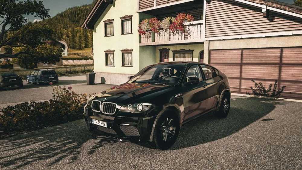 BMW-X6-M-2010-V30-156x-for-ETS2.jpg